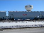 CN 115384 is new to RRPA!